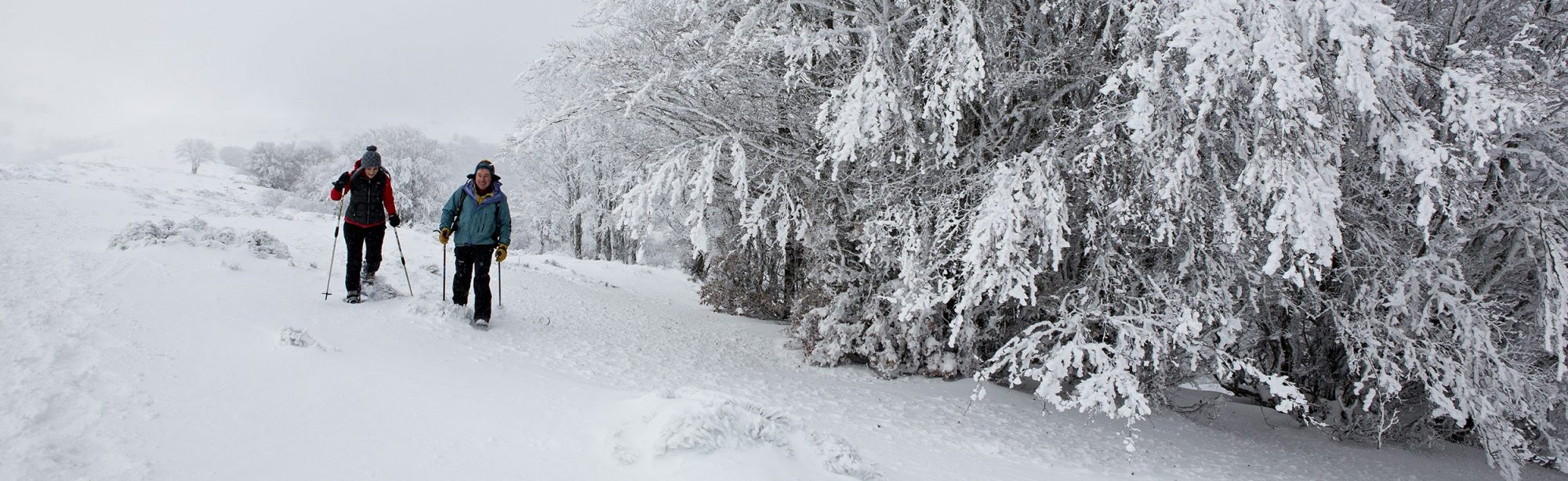 Randonnée en raquettes à neige. Photo ©Pierre Soissons